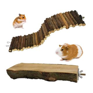 Đồ Chơi Hamster Nhu Cầu Hàng Ngày Gấu Vàng Trang Trí Cảnh Quan Toàn Bộ Khung Leo Xoay Vỏ Dừa Treo Võng.20251027