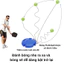 Dụng Cụ Tập Pickleball Tại Nhà - Gồm Bình Chứa Nước, Dây Đàn Hồi, Bóng Vàng