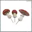 3 Cái / bộ Nấm Mini Phát Sáng Trong Bóng Tối Nhựa Thủ Công Vườn Cổ Tích Thu Nhỏ Trang Trí Sân Vườn Terrarium Các Bức Tượng Nhỏ Trang Trí Đỏ Trắng