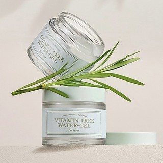 Kem dưỡng ẩm I'M FROM Vitamin Tree Water Gel 75g