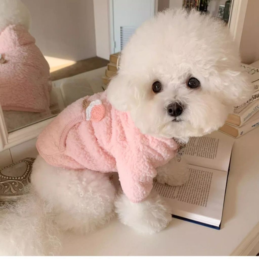 Mùa Đông Thú Cưng Lông Cừu Lót Áo Ấm Có Mũ Trùm Đầu Quần Áo Cho Chó Teddy Bichon Schnauzer