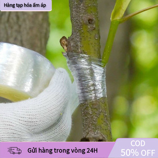 Băng keo ghép cây tự dính GA345 khổ 3cm chiều dài 150m phù hợp cho việc ghép các loại cây ăn quả và cây cảnh
