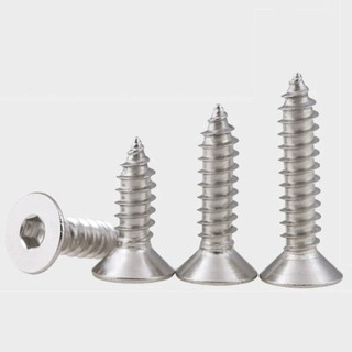 vít gỗ tự khoan đầu bằng lục giác chìm inox 304 vít đầu chìm bằng gỗ M2 / M2.5 / M3 / M4 / M5 / M6 【 JYD-ZZ-Z】