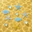 Set Charm Sao Biển Xanh Đại Dương Resin Trong Suốt – Cá Biển Cute Summer Ocean Premium Trang Trí Dép