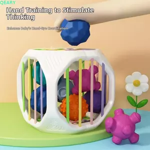 Đồ chơi Montessori QEARY, Khối xây dựng cầu vồng hình học 6 trong 1, Máy phân loại hình động vật dễ thương Nhận dạng màu sắc học tập cho trẻ sơ sinh Đồ chơi phát triển giác quan 0-12 tháng
