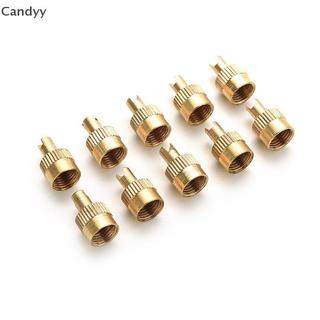 NDY 10 Chiếc Xe Chrome Kim Loại Có Rãnh Nắp Thân Van Có Dụng Cụ Tẩy N