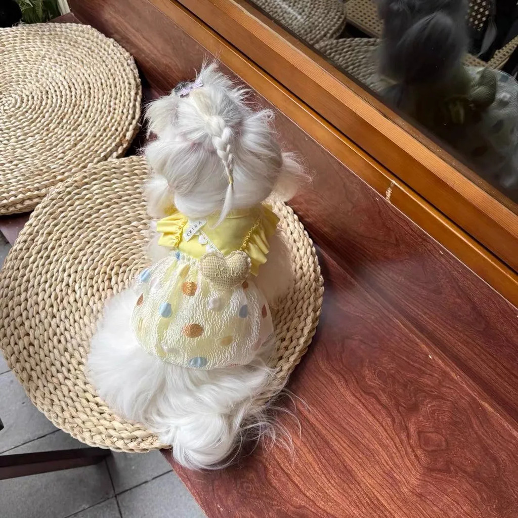 Áo nỉ thú cưng Thu Đông Phong cách mới Sức sống Quần áo chó màu vàng Teddy Bichon Cat Quần áo thường ngày