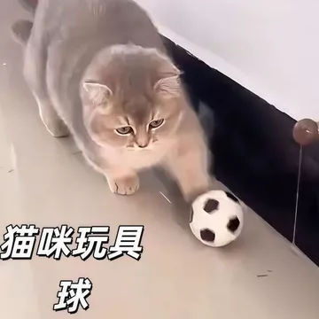 Đồ chơi cho mèo HG0P Đồ chơi bóng đá cho mèo Huấn luyện Đồ chơi trêu chọc mèo tương tác Bóng thể thao thú cưng Tự vui vẻ Sự nhàm chán Giảm bớt công cụ tiện dụng trêu chọc mèo