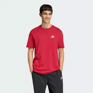 adidas Tennis & Lifestyle OUTDOOR MOUNTAIN BIKING GRAPHIC T-SHIRT Men Burgundy KB2538