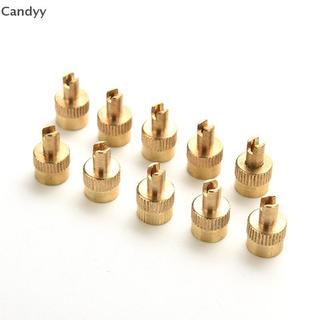 NDY 10 Chiếc Xe Chrome Kim Loại Có Rãnh Nắp Thân Van Có Dụng Cụ Tẩy N