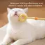 Máy mát xa mèo 2 trong 1 có thể thu vào Máy mát xa hai mặt Teaser Wand Đồ chơi dễ làm sạch không thấm nước cho chủ mèo [VN]