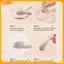 VFZ 5 / 7 / 10 / 12PCs Bàn chải trang điểm có phấn nền Blush Eyeshadow Contour Powder Brush, Bộ cọ trang điểm, Bộ cọ trang điểm chuyên nghiệp Louislifecool