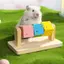Photoframe Fun Cube Hamster Đồ Chơi Gỗ Chắc Chắn Răng Mài Tiếp Liệu Gấu Vàng Chinchilla Chuột Lang Đồ Chơi Phụ Kiện VN