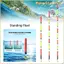 Phao ống hút MONOSTYLE, Lỗ cỏ Phao có độ nhạy cao bắt mắt, Cá chép Chép Crucian Chất lượng cao Phao mở rộng theo mùa Câu cá trên đá