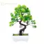 GE Cây Nhân Tạo Trang Trí Chậu Cây Cảnh Cây Nhỏ Chậu Cây Giả Chậu Thiền Vườn Đồ Trang Trí Bàn Trang Trí Phòng Nhà VN