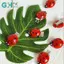 GHX 10 Chiếc Mô Phỏng Bọ Rùa Kẹp Tóc Động Vật Côn Trùng Kẹp Tóc Sáng Tạo Phụ Kiện Tóc Mũ Để Trang Trí Tóc VN