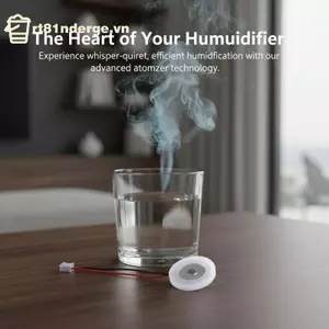 GE Mist Maker Bộ tấm phim phun sương siêu âm 5 chiếc Đầu dò dưỡng ẩm 16mm cho máy tạo độ ẩm không khí Đài phun nước Terrarium Sử dụng VN