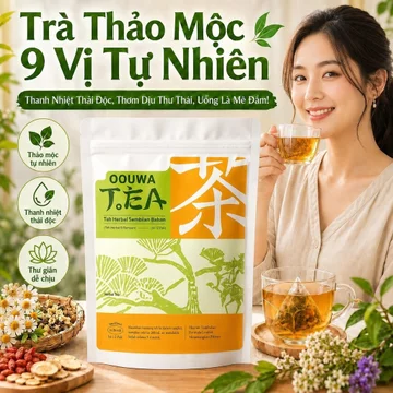 🔥 Hàng Mới 🔥Trà Thảo Mộc Lành Mạnh/Trà Thảo Mộc 9 Vị Thiên Nhiên/trà Thảo Mộc Ngủ Ngon /Trà Thảo Mộc Chống Oxy Hóa