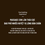 Máy Ngâm Chân Massage Wisezen Gấp Gọn Mát Xa Bấm Huyệt Kèm 24 Bi Lăn Massage Giảm Đau Nhức Tăng Tuần Hoàn Máu — ảnh 6