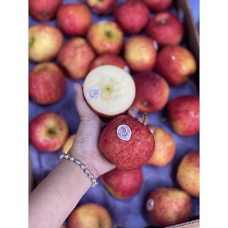 < JENNY FRUIT > TÁO ENVY NEWZEALAND GIÒN NGỌT