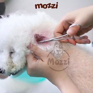 Bột nhổ lông tai Alkin Petis Ear Powder cho chó mèo