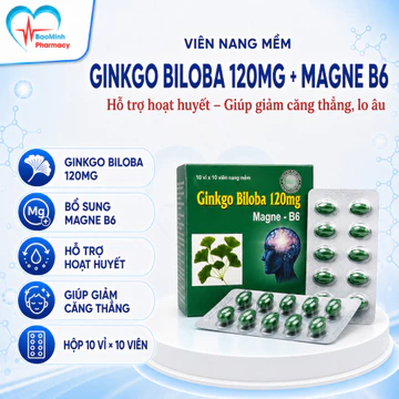 Ginkgo Biloba 120 mg giúp bổ não, tăng cường lưu thông, hoạt huyết dưỡng não. Hộp 100v