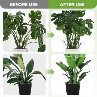 5 gói Cọc hỗ trợ cây Monstera có thể xếp chồng lên nhau Cọc cây trong vườn cho cây trồng nhà và ngoài trời Giá đỡ cột rêu Cấu trúc thân cây Monstera để leo cây trong chậu nhựa tái sử dụng