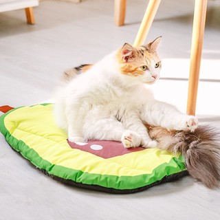Giường cho chó - Chiếu điều hoà thú cưng dễ thương có hoa văn trái cây, Thảm ngủ cho mèo chống ẩm cho ghế ngồi trên sàn cũi phổ biến cho mọi mùa