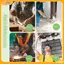 VFZ 4 4 Kích Cỡ Bộ Lọc Mũi Dùng Một Lần Phích Cắm Mũi Vô Hình Để Sử Dụng Ngoài Trời Hàng Ngày Chống Bụi Dị Ứng Khói Kiểm Soát Mũi Cắm Cho Bụi Louislifecool