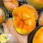 Đồ chơi làm bánh hấp sáng tạo Giảm căng thẳng Giảm căng thẳng Trẻ em Quà tặng FSI