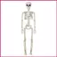 Trang trí bộ xương Halloween Toàn thân Khớp di chuyển Đồ trang trí xương Trang trí Bộ xương thực tế Trang trí cho shopidaevn