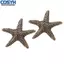 <cosyh>Brass Handles Easy Installation Kids Room Decor Versatile For Furniture