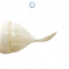 Bình Tập Ăn SIlicone Dolphin 200ml, Bình ăn Cháo Cho Bé Tập ăn Thân Bình Silicone Muỗng Nhựa