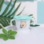 Cốc Tập Uống 3 Giai Đoạn Cho Bé Có Van Đẩy Nước 150ml Ống Hút Silicone Chống Sặc, Cốc Tập Hút Nước Tập Uống Cho Bé