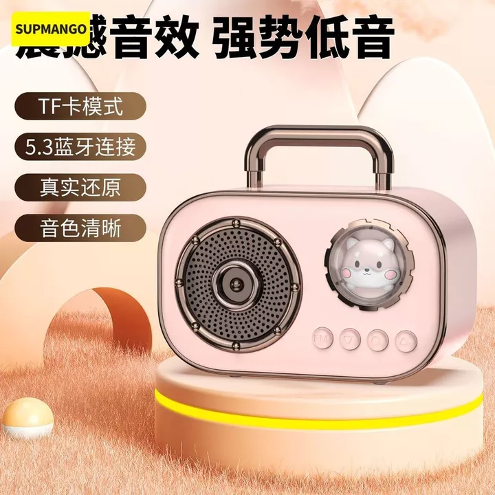 Computer Speakers – Wireless – 7