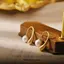 PNPIA- Xu Hướng Thời Trang Mới Thiết Kế Độc Đáo Thanh Lịch Tinh Tế Ánh Sáng Sang Trọng Bông Tai Ngọc Trai Nữ Trang Sức Dự Tiệc Quà Tặng Cao Cấp Bán Buôn