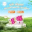 GIẤY VỆ SINH SÀI GÒN HỒNG CARE CÓ LÕI - LỐC 10 CUỘN / CHÍNH HÃNG