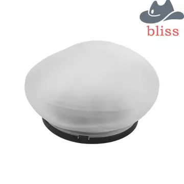 Đèn năng lượng mặt trời BLISS, Đèn năng lượng mặt trời LED tự động bật / tắt hình đá cuội, Tiết kiệm năng lượng mặt trời Tiết kiệm năng lượng Mặt trời Đèn sỏi ngoài trời không dây ngoài trời ngoài trờ