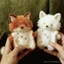 Khăn tay giải nén mềm mại chữa bệnh cho búp bê Fox Doll sang trọng