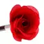Khung ảnh Sti Rose Flower Magic Tris Flowers Close Up Street Stage Magic Đạo cụ VN