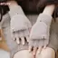 HFSHY Mùa Đông Nữ Nửa Ngón Flip-top Găng Tay Sinh Viên Cô Gái Dễ Thương Hoạt Hình Warmfortable Mềm Mại Phong Cách Thi Đan Găng Tay VN