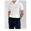 Áo Sơ Mi Polo Nam Phiên Bản Hàn Quốc Hợp Thời Trang Ve Áo Thun Nam Tay Ngắn Ánh Sáng Trưởng Thành Phong Cách Đẹp Trai Màu Trơn Phù Hợp Với Đan Top CTAX