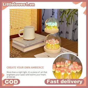 Littleloves1 1 Đèn ngủ trái tim cô gái trong suốt DIY Đồ chơi phát sáng Đèn trang trí dễ thương cho phòng bé gái Quà tặng sinh nhật Đèn phòng ngủ VN