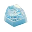 Btsg Bộ Keycap Chủ Đề Hoa Thủ Công Tinh Tế - Hoàn Hảo Phù Hợp Cho Hầu Hết Các Bàn Phím Cơ Khớp Đa Năng