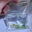 Túi cá mô phỏng sáng tạo với đồ chơi Squishy silicon giống như nước để giảm căng thẳng và chơi giác quan