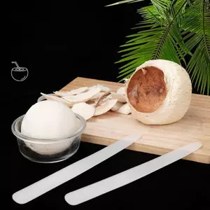 Dụng cụ tẩy thịt dừa bằng nhựa bigapple - Trứng có thể giặt được mềm để cạo trái cây RDG