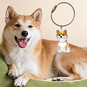 Top Thú Cưng Giữ Tóc Móc Khóa Trong Suốt Lưu Trữ Bộ Nhớ Lông Thú Hộp Thu Cho Chó Mèo