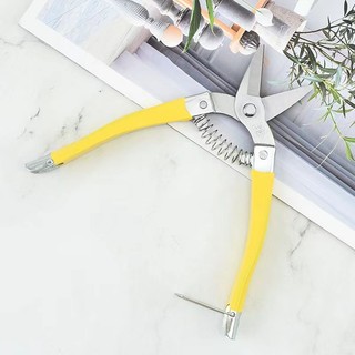 Kéo tỉa cam lưới hái trái cây inox, dùng cho vườn hoa, vườn cây ăn quả