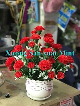 Chùm Hoa Cẩm Chướng Giả 10 Nhánh 40cm Nhiều Màu Hoa Lụa Trang Trí Nhà Cửa Bàn Thờ Xưởng Nam Định