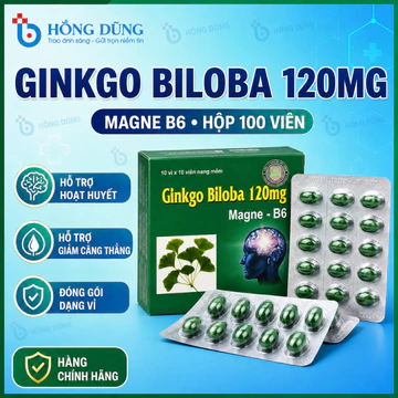 Ginkgo Biloba 120 mg giúp bổ não, tăng cường lưu thông, hoạt huyết dưỡng não. Hộp 100v